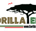 All natural organic active wear